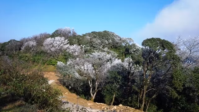 Le parc national Phia Oac-Phia Den à Cao Bang.
