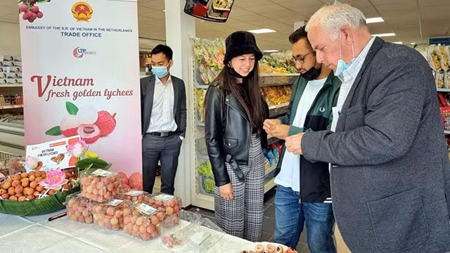 La promotion des litchits frais aux Pays-Bas. Photo : VOV.