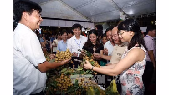 La fête du longane à Hung Yên. Photo: VNA.