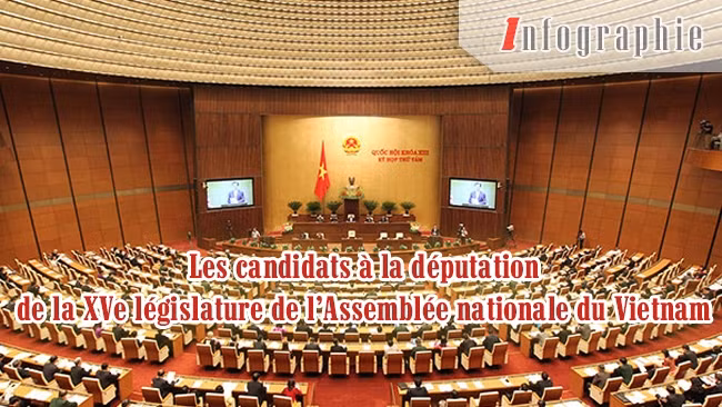 [Infographie] Les candidats à la députation de la XVe législature de l’AN du Vietnam