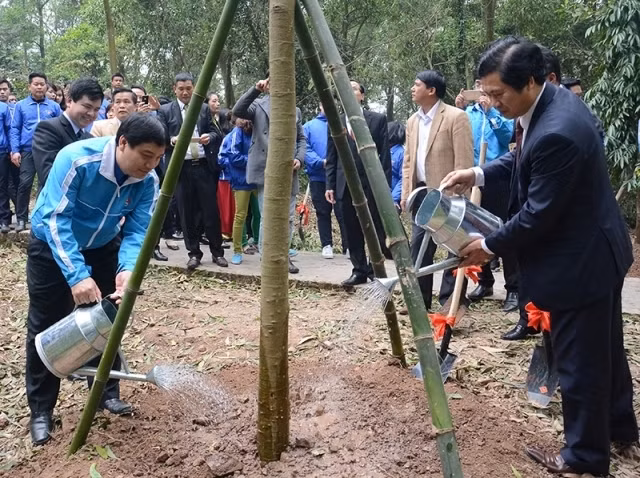 Les responsables de l’Union de la Jeunesse communiste Hô Chi Minh et du district de Dông Anh plantent des arbres. Photo: NDEL.