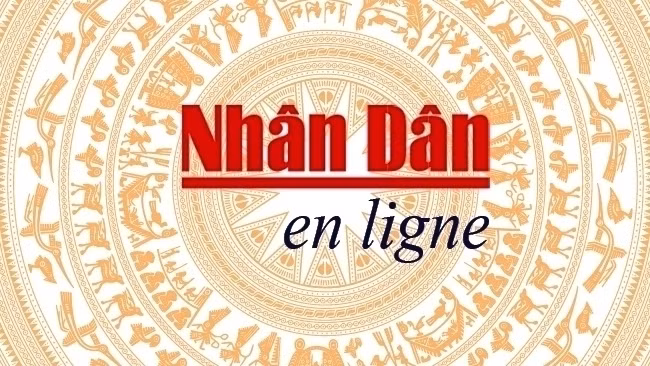 Plus de 14 000 tonnes de fruit du dragon exportées vers la Chine via Lao Cai