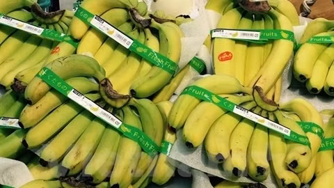 Environ 15 tonnes de bananes ont été exportées par la Société Huy Long An au Japon. Photo: VNA.