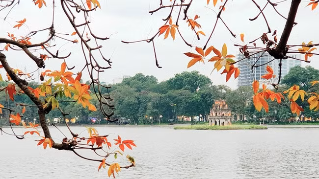Photo : vtv.vn