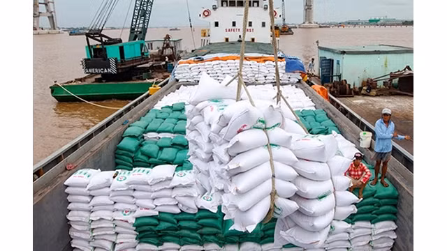 Le prix du riz vietnamien à l'exportation est le plus élevé depuis le début 2022. Photo d'illustration : thuonghieuvaphapluat.