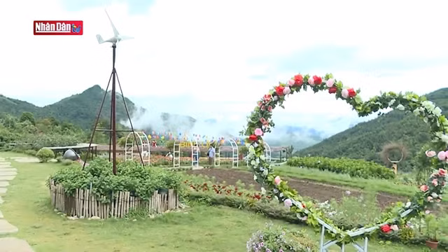 Les fleurs du district montagneux de Binh Lieu à Quang Ninh