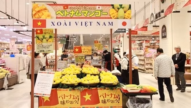 La mangue de Cat Chu du Vietnam se vend dans un supermarché au Japon. Photo: VNA.