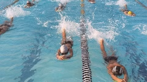 Les instances sportives nationales fourniront toutes les clés pour que les nageurs puissent tirer le meilleur d’eux-mêmes. Photo : VNA.