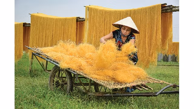  Le village du métier de production des vermicelles de canna Cu Dà. Photo : Journal Kinhtedothi