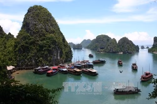  Baie de Ha Long - patrimoine naturel mondial de l’UNESCO. Photo : VNA.