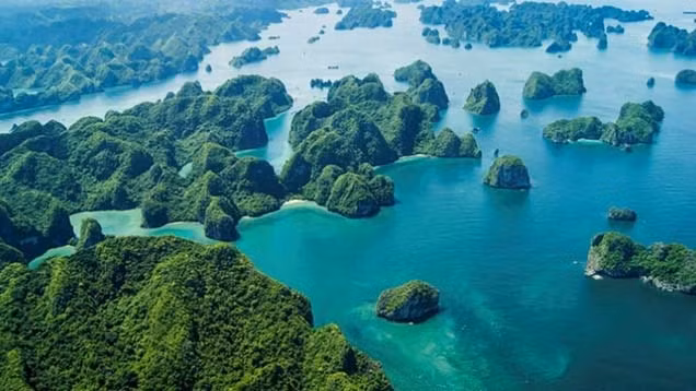 La baie de Bai Tu Long a une beauté unique avec ses nombreux îlots et ses plages de sable fin. Photo : giadinhonline.vn