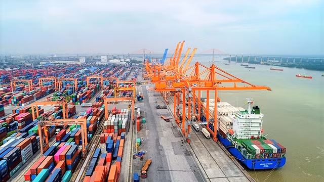 Le Vietnam est considéré comme un centre logistique pour les exportations néerlandaises afin de pénétrer le marché de l’ASEAN. Photo : VGP.