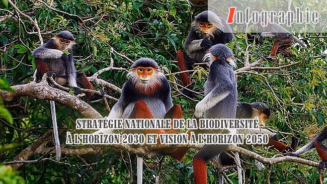 [Infographie] Stratégie nationale de la biodiversité à l’horizon 2030 et vision à l’horizon 2050