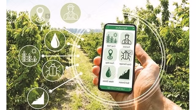 Photo : ministère de l'Agriculture et du Développement rural du Vietnam.
