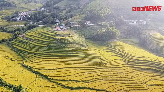 Découvrir les rizières en terrasses de Quang Ninh