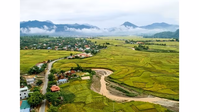 Les champs de riz de Muong Tâc. Photo : http://danviet.vn