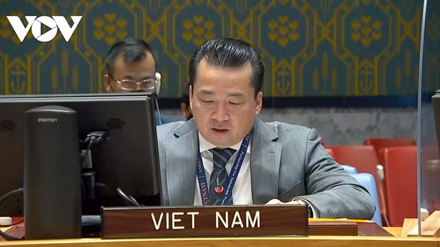 L’ambassadeur Pham Hai Anh, chargé d’affaires par intérim du Vietnam auprès de l’ONU. Photo : VOV.