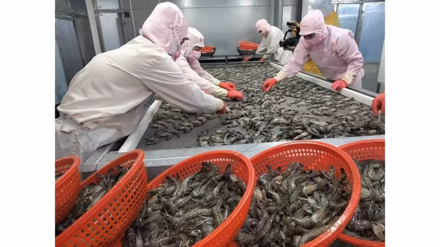 Les exportations de produits de la mer en février 2022 ont continué de croître fortement avec une augmentation de 62 %, avec une valeur estimée à 635 millions de dollars. Photo : congthuong.vn