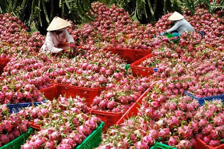 Photo d'illustration : skhcn.binhthuan.gov.vn