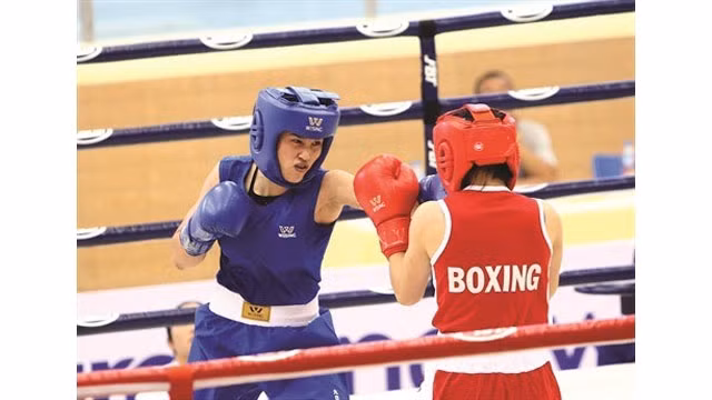 La boxe est pratiquée au Vietnam depuis 1925, indiquent les documents d’archives. Photo : VNA/CVN