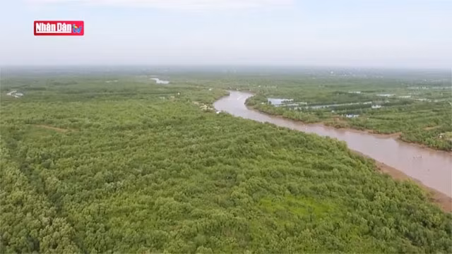 Tam Giang, le fleuve légendaire de Cà Mau