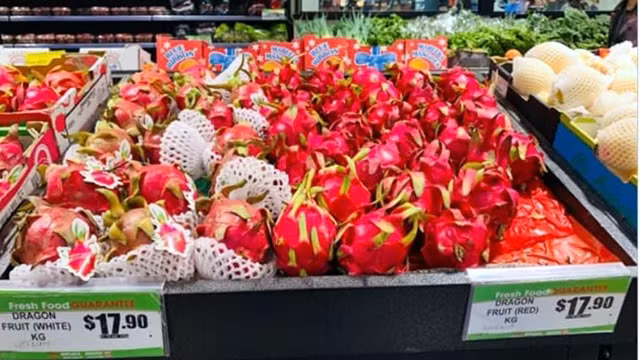 Le fruit du dragon vietnamien (à droite) est affiché à côté de celui australiens (à gauche) dans l’ambiance du Têt traditionnel au supermarché Dai Phat à Melbourne. Photo : VOV.