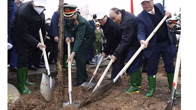 Le Président de la République, Nguyên Xuân Phuc, plante des arbres à Phu Tho. Photo : VOV.