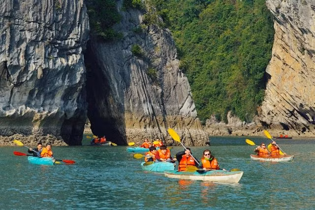 Le kayak est un nouveau sport qui est récemment devenu populaire au Vietnam. La baie d'Halong est un endroit idéal pour faire du kayak car la mer est calme et sans vagues.