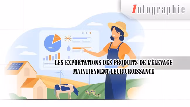 [Infographie] Les exportations des produits de l'élevage maintiennent leur croissance