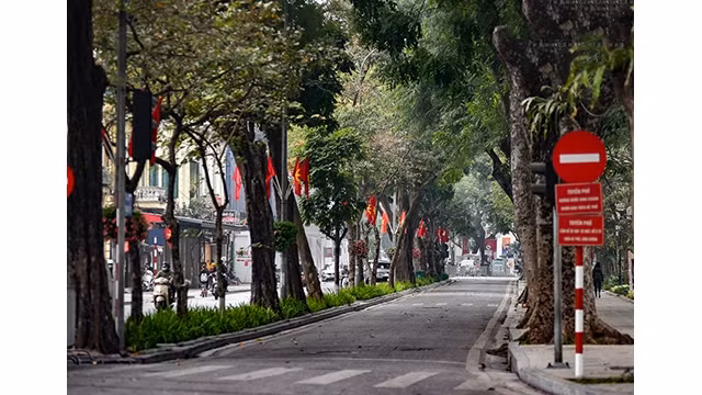 La rue Lê Thai Tô de l'arrondissement de Hoàn Kiêm. Photo d'illustration : VNA.