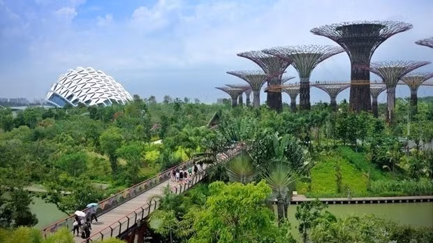 Un jardin à Singapour. Photo : eco-business.com.