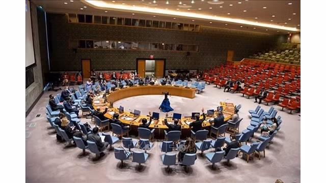  Lors d'une réunion du Conseil de sécurité de l'ONU. Photo : VNA.