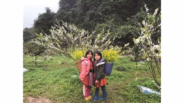 Deux fillettes H’mông à Tân Lâp, district de Môc Châu, province de Son La (Nord). Photo : CVN