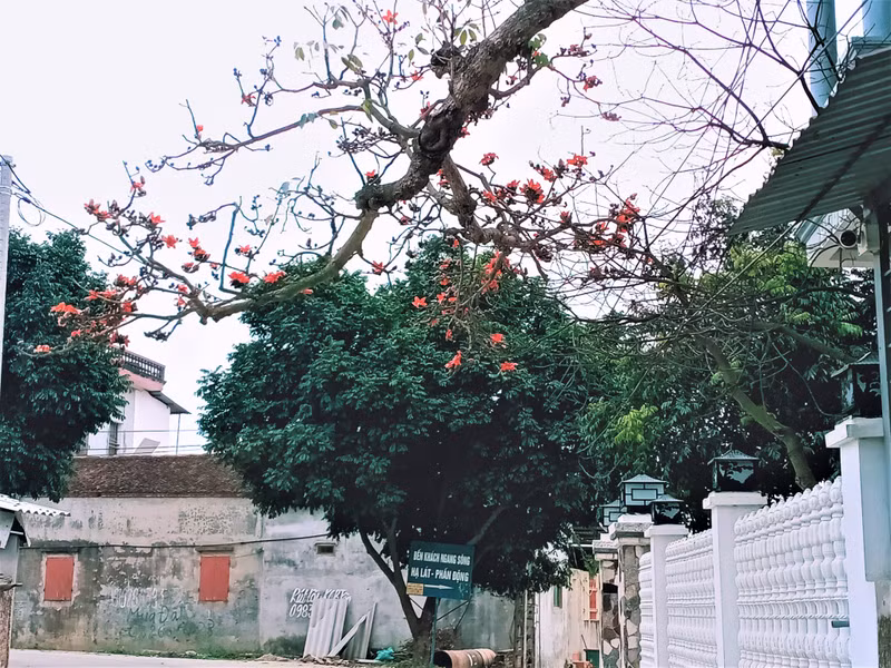 Photo : Minh Minh. Photo : Minh Minh.