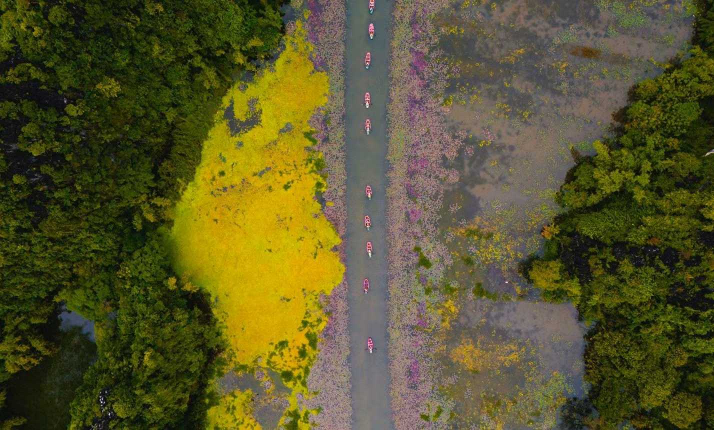 nb5.jpg