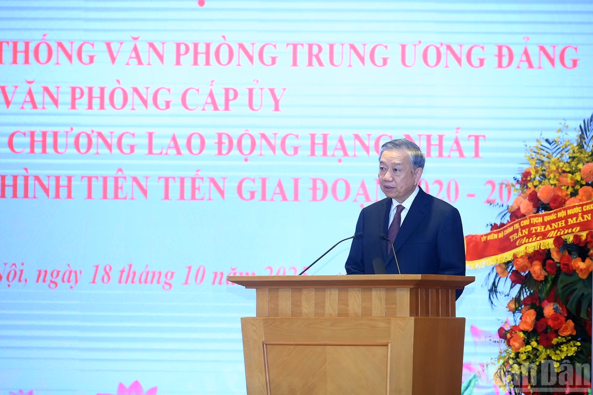 image-8.jpg