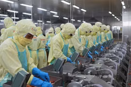Au 15 octobre 2026, le montant cumulé des échanges de marchandises du Vietnam, à l’exportation comme à l’importation, atteignait 945 milliards de dollars, en hausse de 31,4 % sur un an. Photo : VNA.