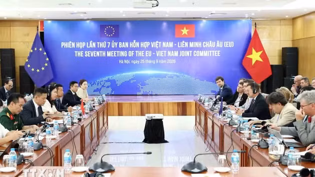 Panorama de la 7e session du Comité mixte Vietnam - UE. Photo : VNA.